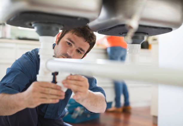 Best Clogged Drain Plumber  in Paris, TN
