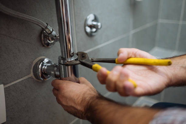 Best Plumbing Services Near Me  in Paris, TN