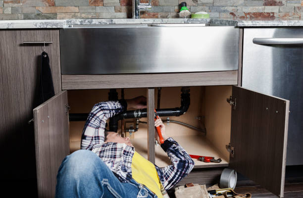 Best Toilet Repair Services  in Paris, TN